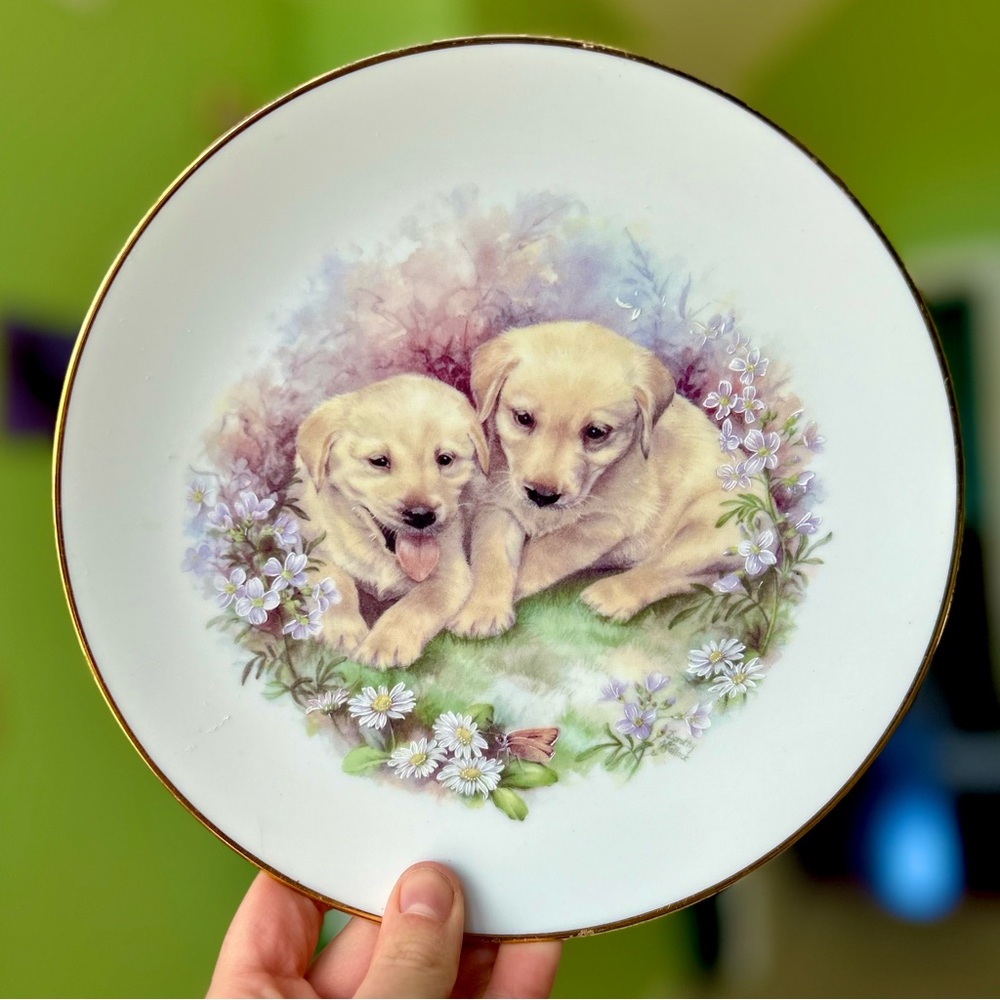 Vintage Yellow Lab Puppies Laying In Meadow Porcelain Plate Cottagecore Home Art - Picture 5 of 5